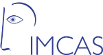 SOCS IS CO-ORGANIZING A SKIN OF COLOR DERM COURSE FOR IMCAS!-banner-image