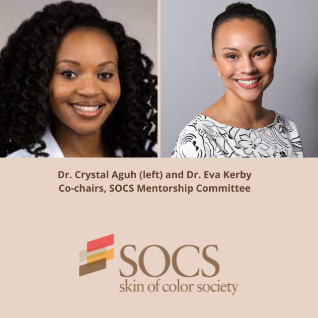 Skin of Color Society Mentorship Program Welcoming in a Vibrant Group of SOCS Mentors and Mentees for 2021-banner-image