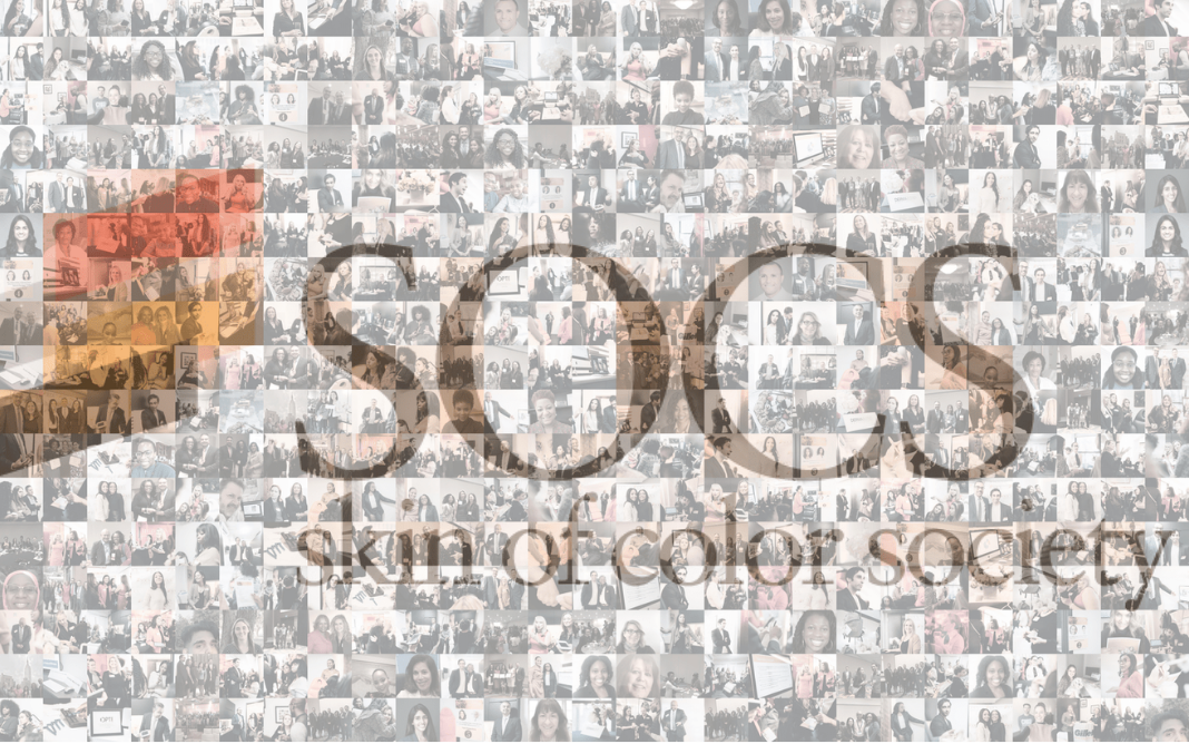 SOCS in the 4th Quarter: A Mosaic of Activity!-banner-image